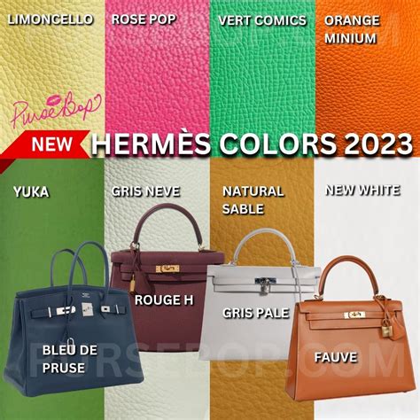 colore di spicco negozi hermes|discontinued hermes bag colors.